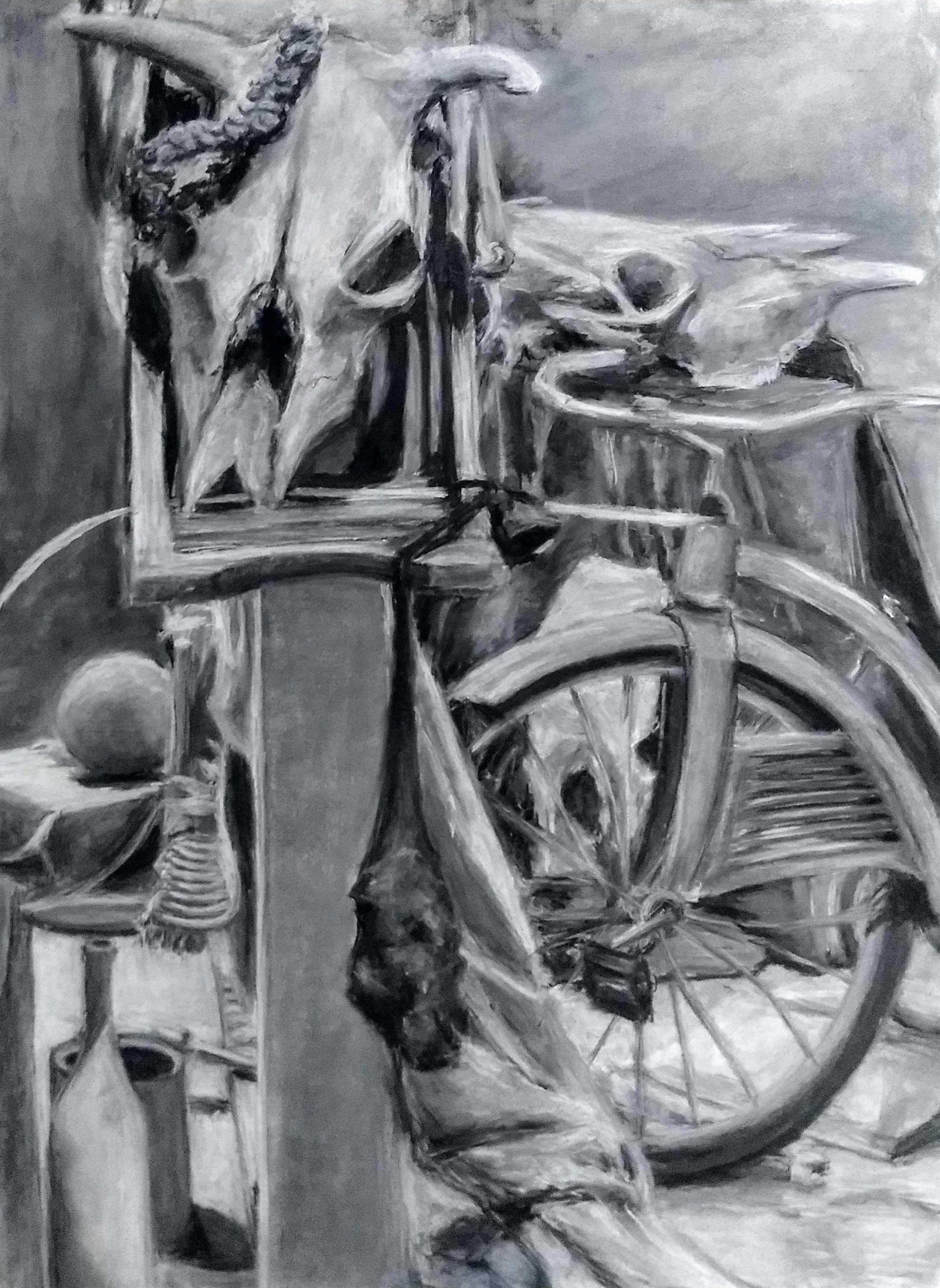 Skull Still Life