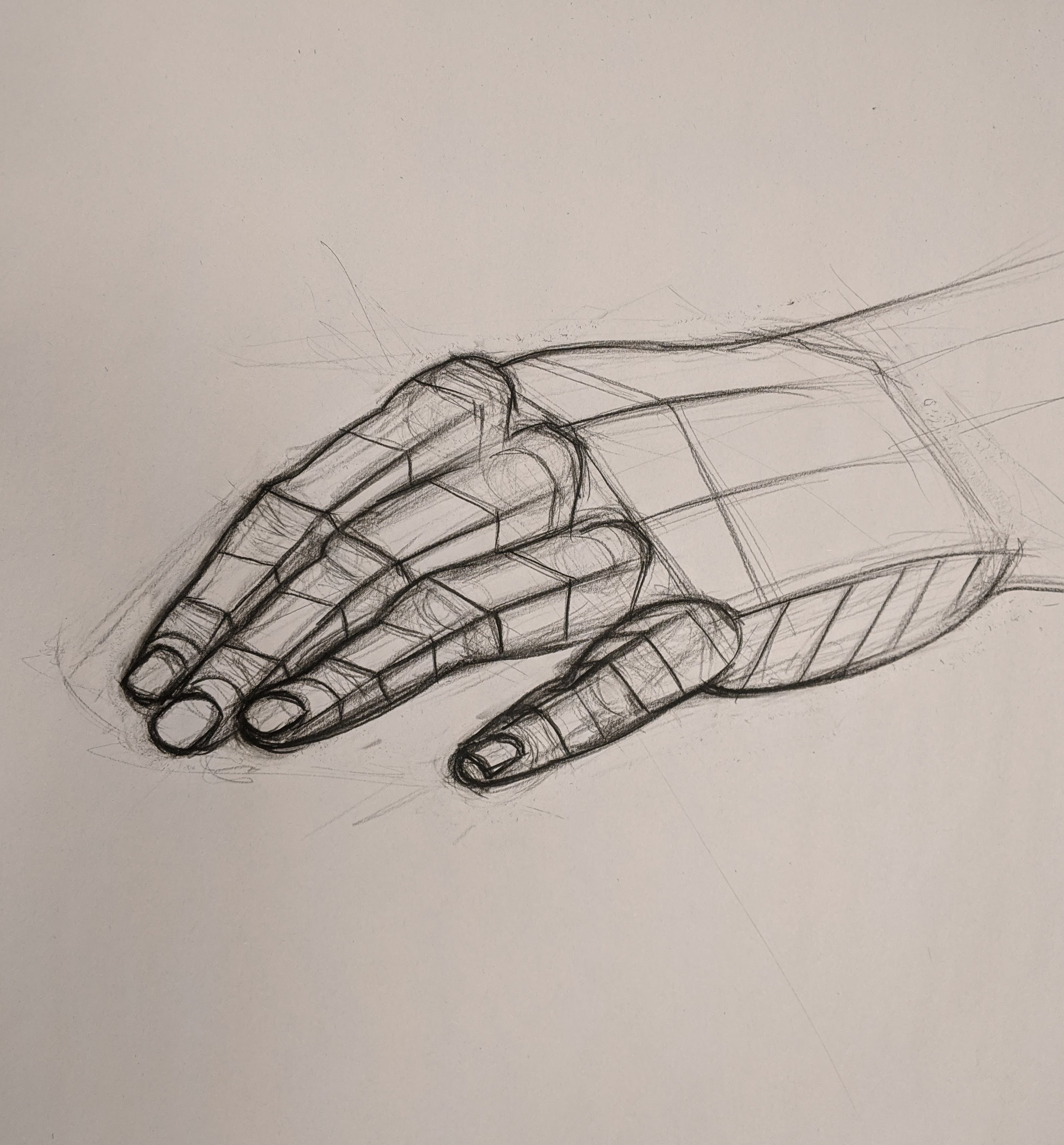Hand Study