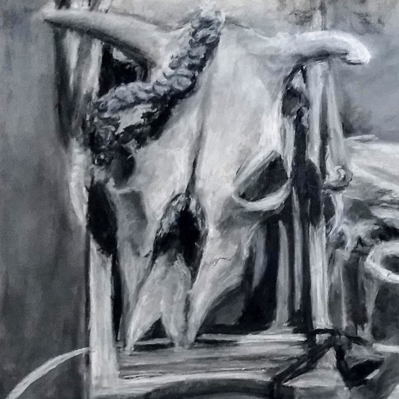 Skull Still Life